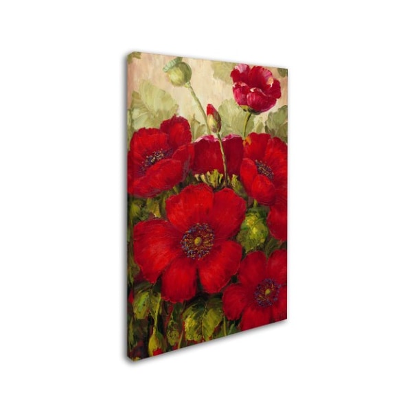 Rio 'Poppies II' Canvas Art,16x24